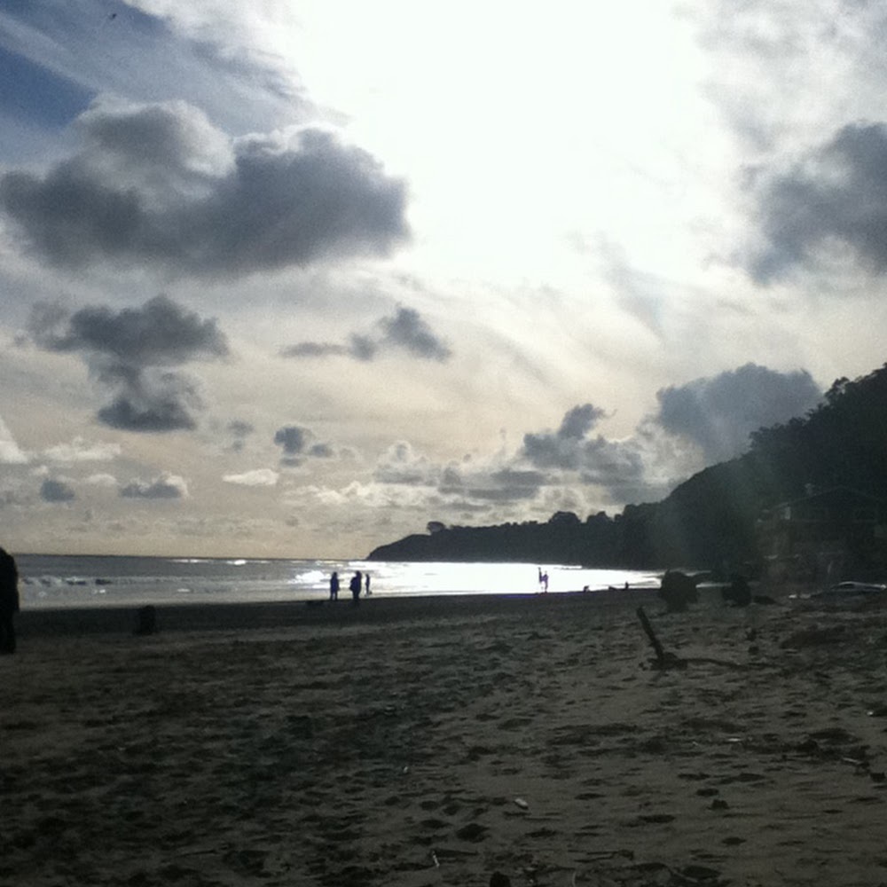 Meet your Posher, Jessie